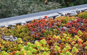 the cost of Fradswell green roof installation